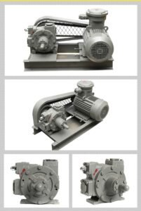 lpg 2 inch vane pump